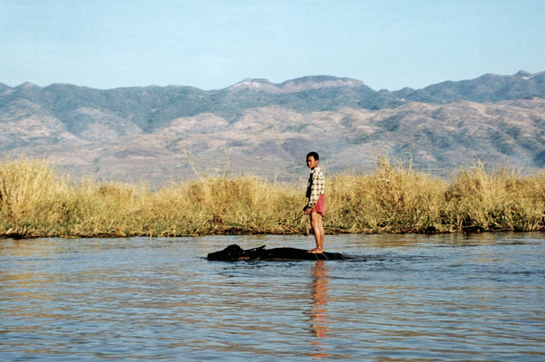 Inle Lake, Myanmar, February 1998