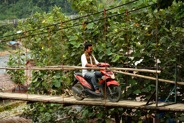 Bukit Lawang, Sumatra, Indonesia, 2014