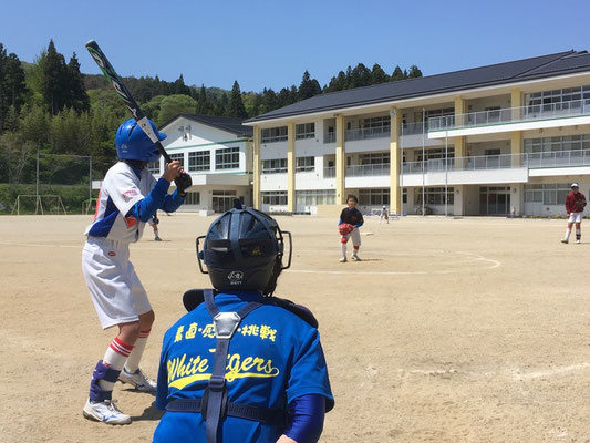 ホワイトタイガースの応援ソング完成 気仙沼ホワイトタイガース ホワイトタイガースの応援ソング完成 気仙沼ホワイトタイガース