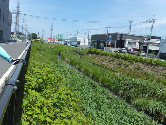 川越市街地の新河岸川