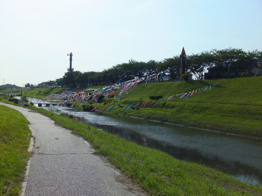 運河水辺公園付近