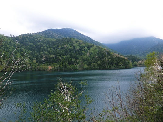 Sugenuma at elevation of 1731 meters (2)
