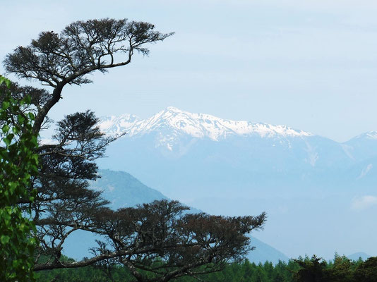 Souther Alps