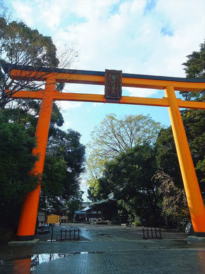 川越氷川神社の大鳥居