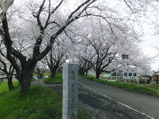 桜堤公園の南側の碑
