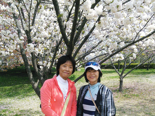 Takao Sakura Park, Kitamoto, Saitama