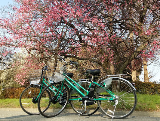 Omiya 2nd Park