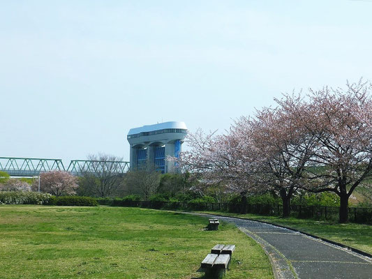さくら草公園近くの鴨川水門(荒川への放水箇所)