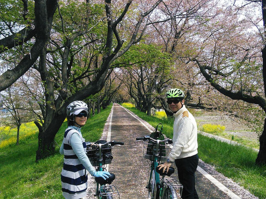 Sakura Tsumi Park, Yoshimi-cho, Saitama