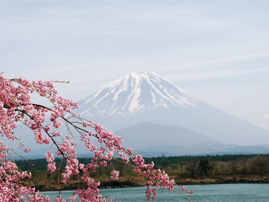 From Lake Shojin