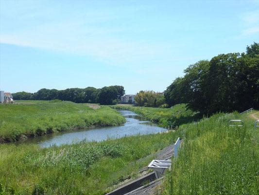 川越市上新河岸付近の新河岸川