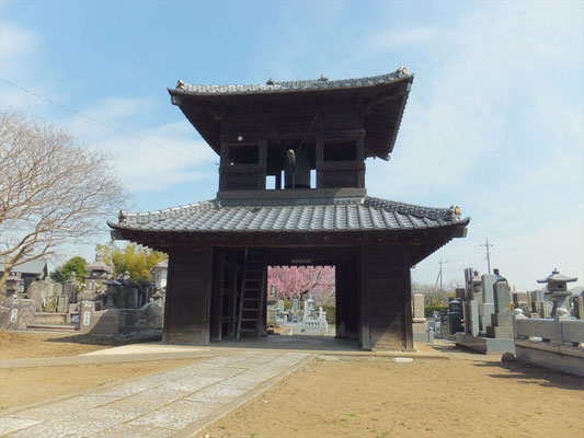 鐘つき堂の向こうに桜が見えます?