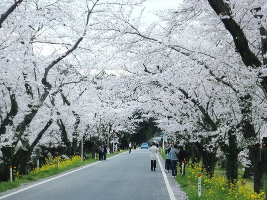 北本市の城ヶ谷堤(自然観察公園付近)