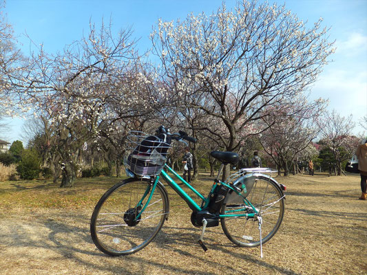 Omiya 2nd Park