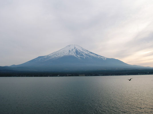 From Lake Yamanaka
