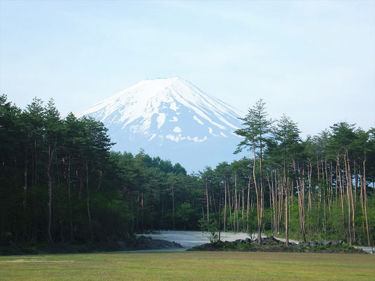 Mt. Fuji View from the parking lot