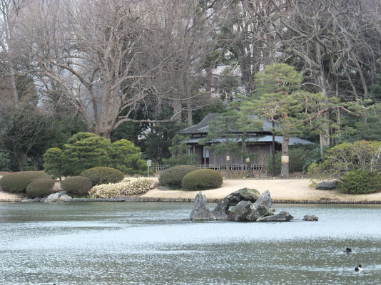 View at Center Pond