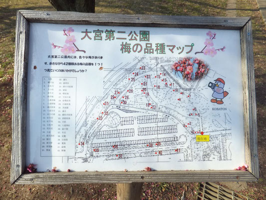 Ume Tree Map