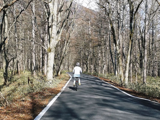 道路を独り占めでのサイクリング