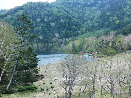 Sugenuma at elevation of 1731 meters (1)