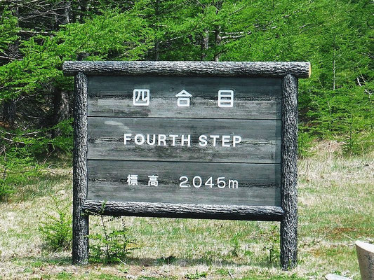 4th Step