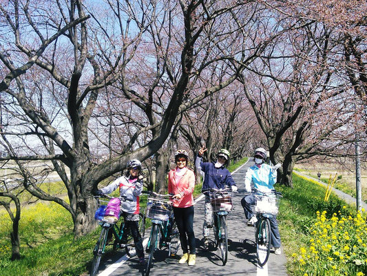Somei Yoshno @ Sakura Tsumi Park, Yoshimi-cho