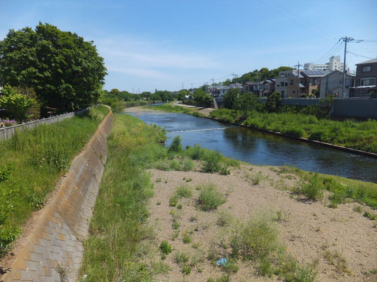 志木市付近の新河岸川