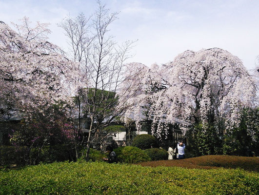 @Naka-in