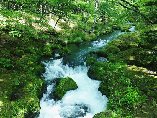 "Yukawa" or hot water river in "Senjo-ga-hara"