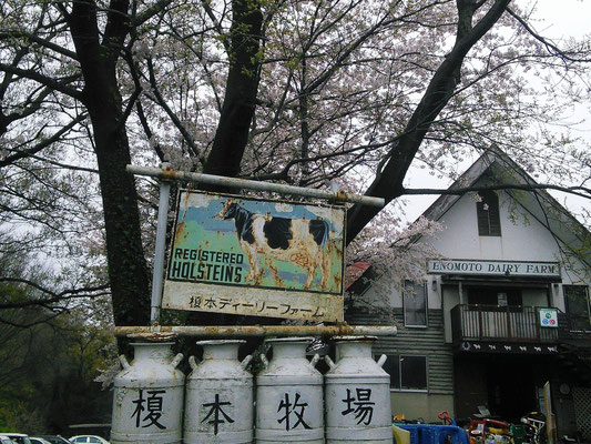 Enomoto Diary Farm, Ageo
