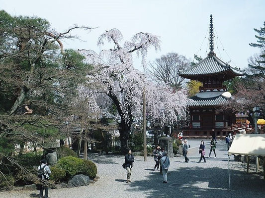 @Kita-in