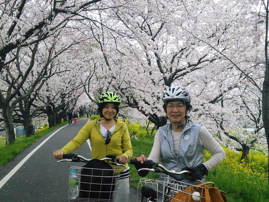 Sakura Tsusumi Park, Yoshimi-cho, Saitama