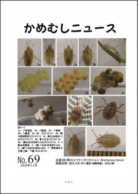 かめむしニュース アーカイブス - カメムシ研究会のページ！臭い
