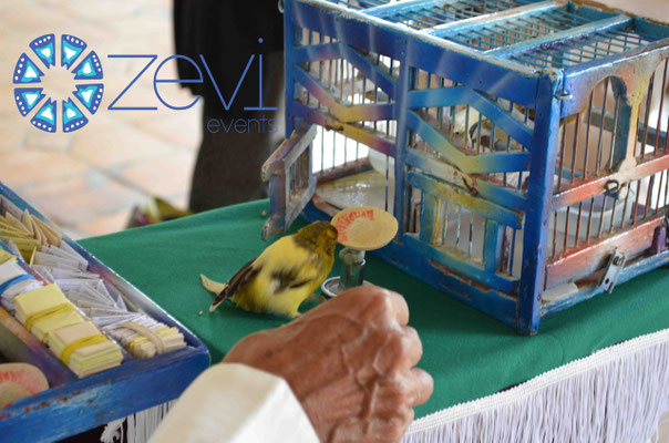 Fiesta mexicana con Zevi Events