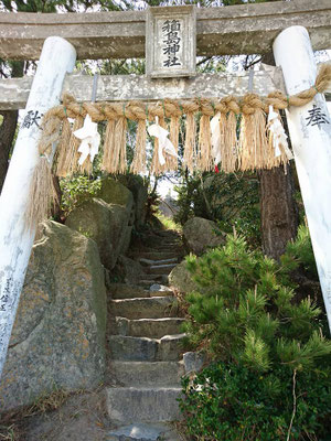 鳥居を下からのアングル