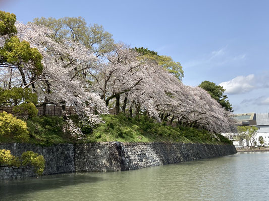 静岡・駿府城公園のお堀