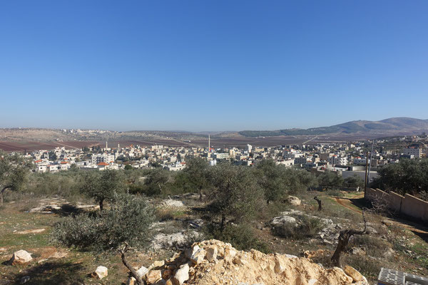 Das Dorf Zabadi umgeben von einzelnen Olivenbäumen