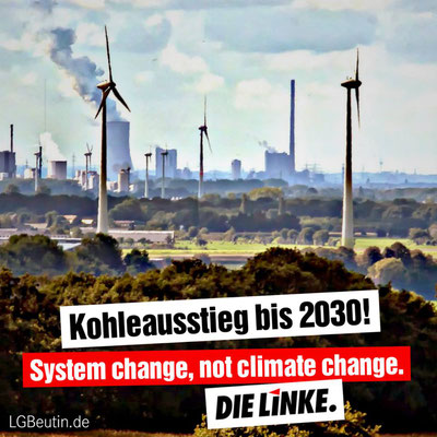 Kohleausstieg bis 2030! Systemveränderung, nicht Klimaveränderung. DIE LINKE.