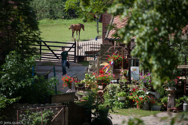 Blick zum Hof