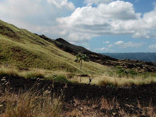les pentes douce du volcan