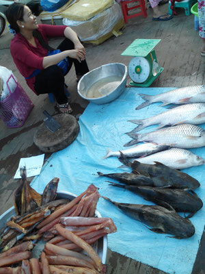 poissons du Mékong