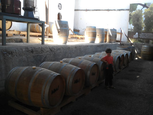 distillerie artianale de Pisco Aba