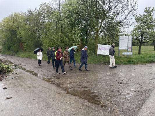 Foto: NABU Hessigheim