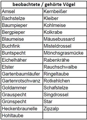 Auflistung der beobachteten oder gehörten Vögel