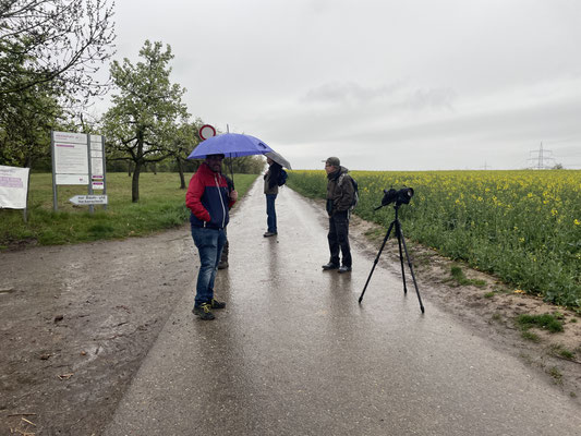 Foto: NABU Hessigheim