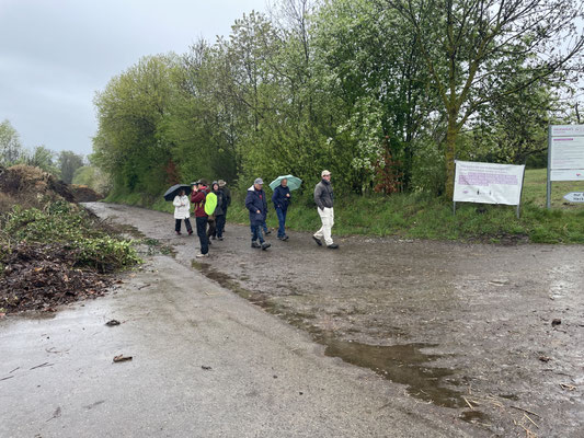 Foto: NABU Hessigheim