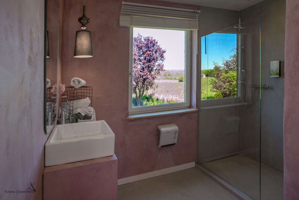 La Maison du Vivier, gîte 6 personen in Durbuy, Ardennen - Badkamer 2 met douche en lavabo