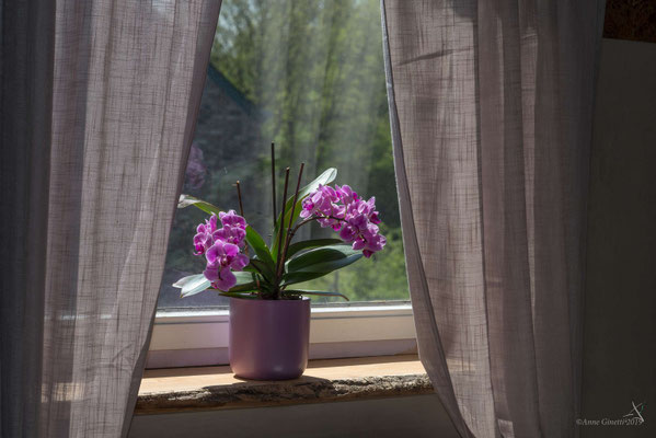 Decoratie