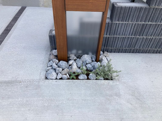 ドライガーデン調