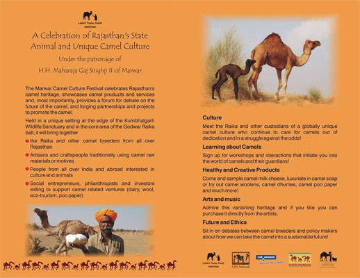 Decembre 15 Dromacity Passion Dromadaire Et Desert Decembre 15 Dromacity Passion Dromadaire Et Desert